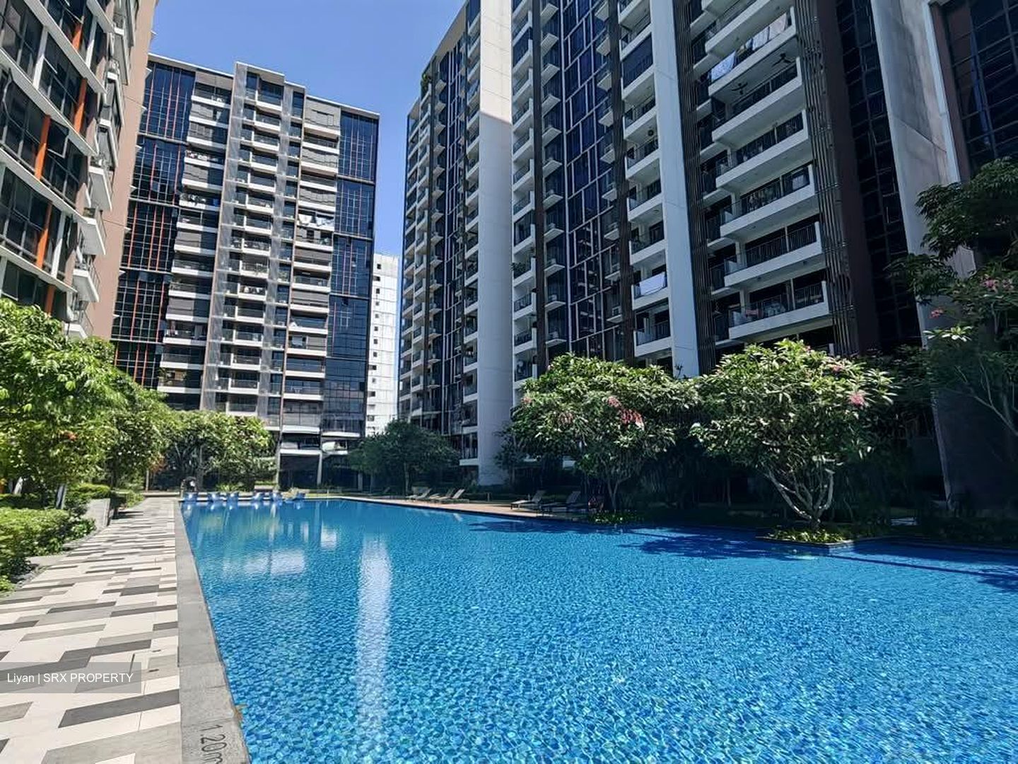 Sims Urban Oasis (D14), Condominium #575484071